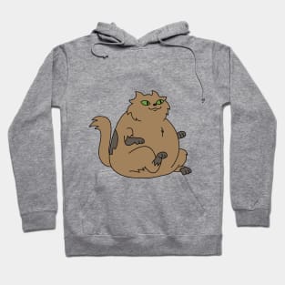 Fluffy cat Hoodie